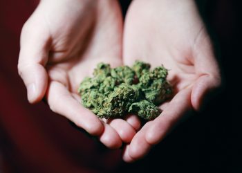 Someone is Robbing Dispensaries!