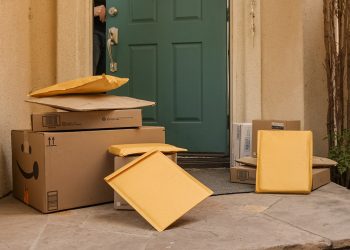 Denver’s Number One!  For Package Theft.