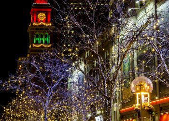 Mile High Tree Coming to Civic Center
