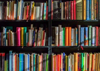 Denver is looking for people to Read to Kids Next Year