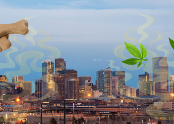 Denver, known as the Mile High City due to its elevation, is a unique city that offers its citizens and visitors a wide range of experiences that one may not find anywhere else. However, with the good comes the bad. One of the bad – the smell.
