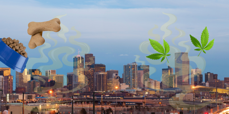 Denver, known as the Mile High City due to its elevation, is a unique city that offers its citizens and visitors a wide range of experiences that one may not find anywhere else. However, with the good comes the bad. One of the bad – the smell.