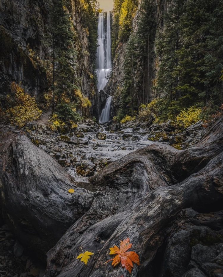 4 Waterfall Hikes Near Denver For a Quick Mental Boost
