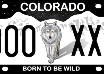 A new License Plate with a Wolf is coming to Colorado