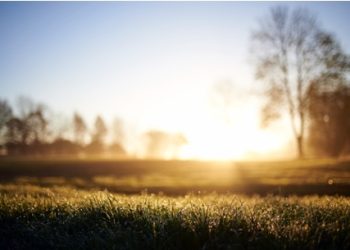 Take Advantage Of This Weeks’ High Temps With These Activities