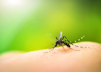 The West Nile Virus Has Been Found In 4 Colorado Counties