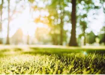 The HRCP needs your help in renaming 6 Denver parks