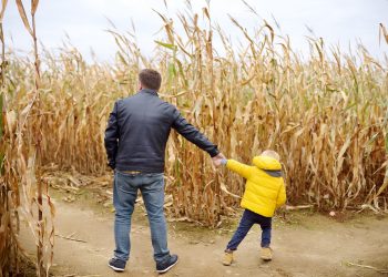 Can you escape these Colorado corn mazes?