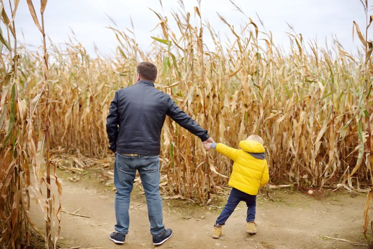 Can you escape these Colorado corn mazes?