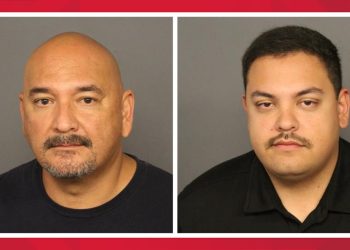 DPD Officer pleads guilty to theft