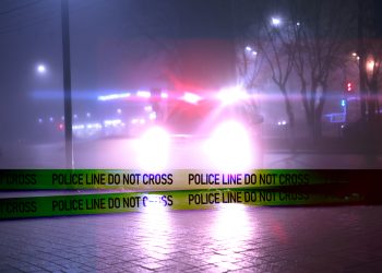 Mesa County release statement on human head found in freezer