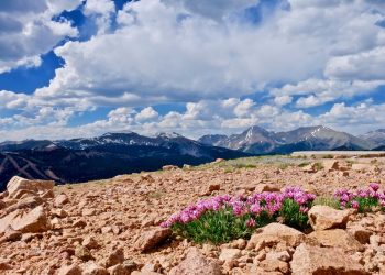 Spring is springing in Colorado!