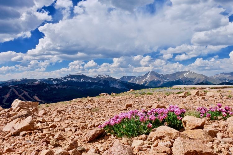 Spring is springing in Colorado!