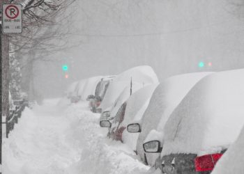 Need Help Shoveling? Snow Angels to the Rescue!