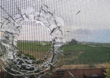 Terrifying Near Miss: Colorado Woman’s Close Call with a Stray Bullet in Her Own Home!