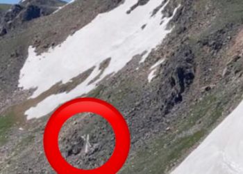Near-Miss Incident: Small Plane Almost Crashes into Devil’s Thumb on Independence Day