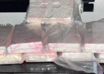 Colorado Task Force Seizes Over 23 Pounds of Cocaine in Traffic Stop