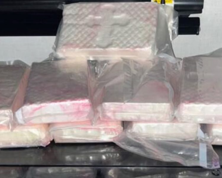 Colorado Task Force Seizes Over 23 Pounds of Cocaine in Traffic Stop