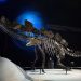 Colorado’s Stegosaurus Fetches Record-Breaking $44.6 Million!”