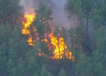 Alexander Mountain Fire in Northern Colorado Expands to 992 Acres