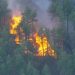 Alexander Mountain Fire in Northern Colorado Expands to 992 Acres