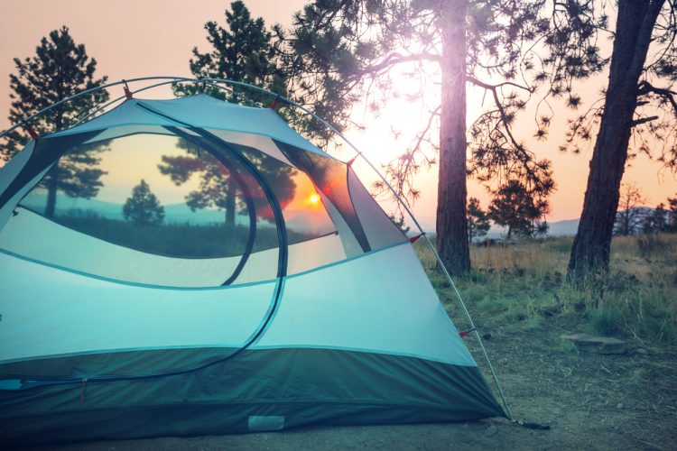 Camping on a Budget? Check Out These Stunning FREE Spots in Colorado!