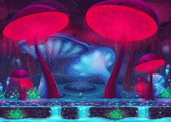 Debate Heats Up Over Psychedelics in Candy as Colorado Finalizes Mushroom Laws