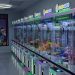Stuffed with Fun: Aurora’s Crane Games Brings Japanese Claw Machine Magic to Colorado!