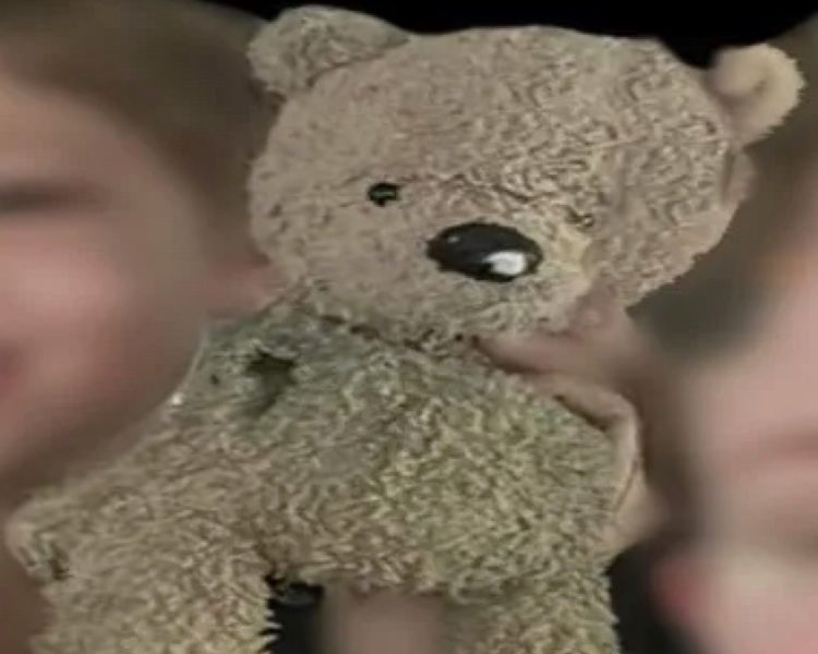 Where’s Jelly Bear? Family Offers $200 Reward for the Return of a Missing Teddy