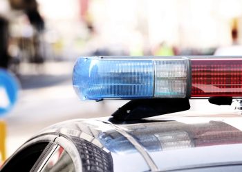 Brave 8-Year-Old Fights Off Kidnapper in Sterling, Suspect Arrested