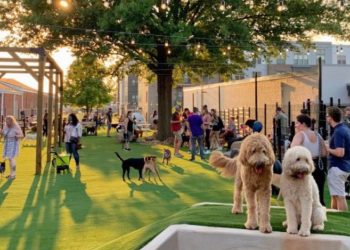 Paws and Pints: Denver’s Skiptown Brings Dog Parks and Beer Gardens Together