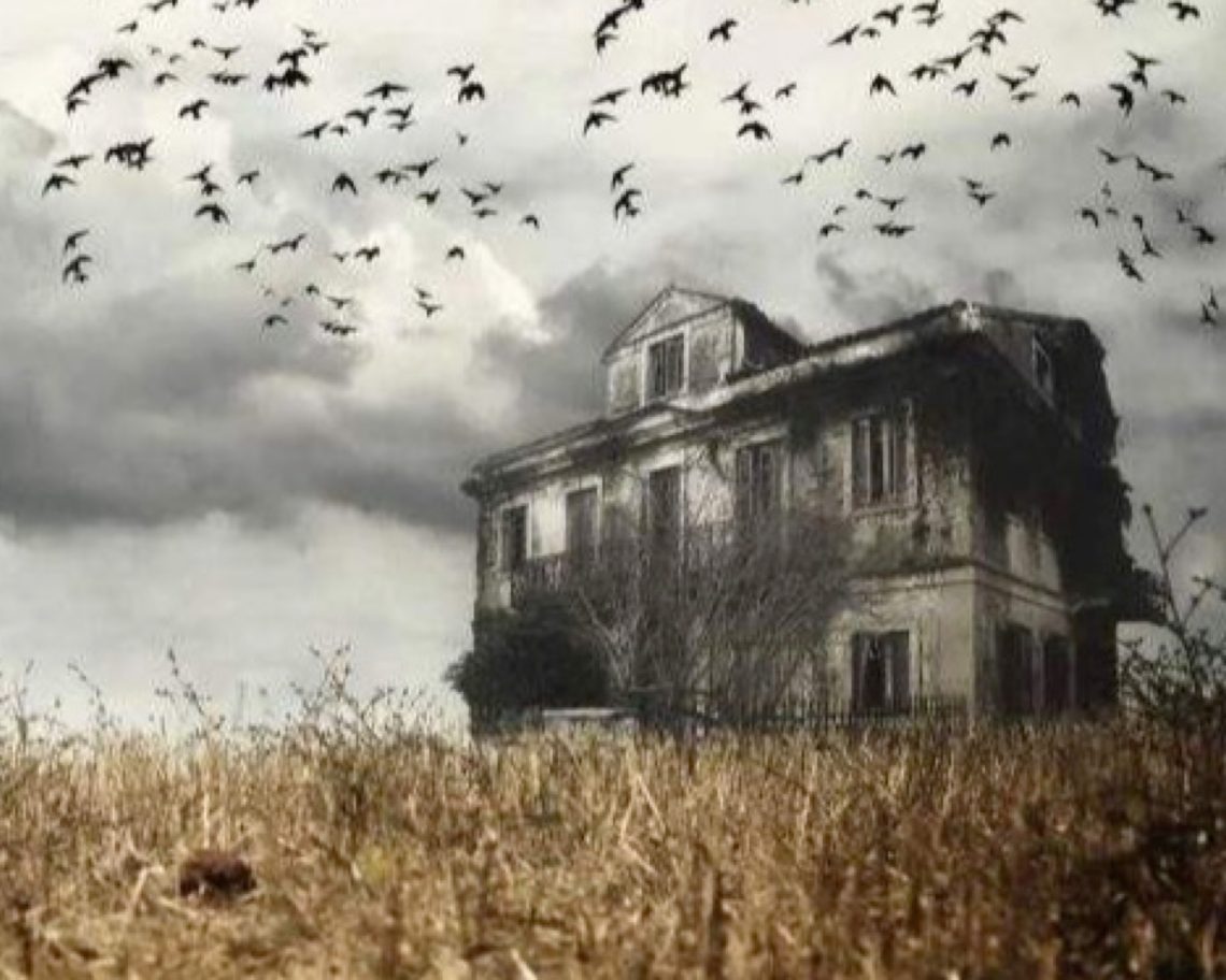 Haunted Grounds: Dare to Face the Ghost of Brad Holder at The ...