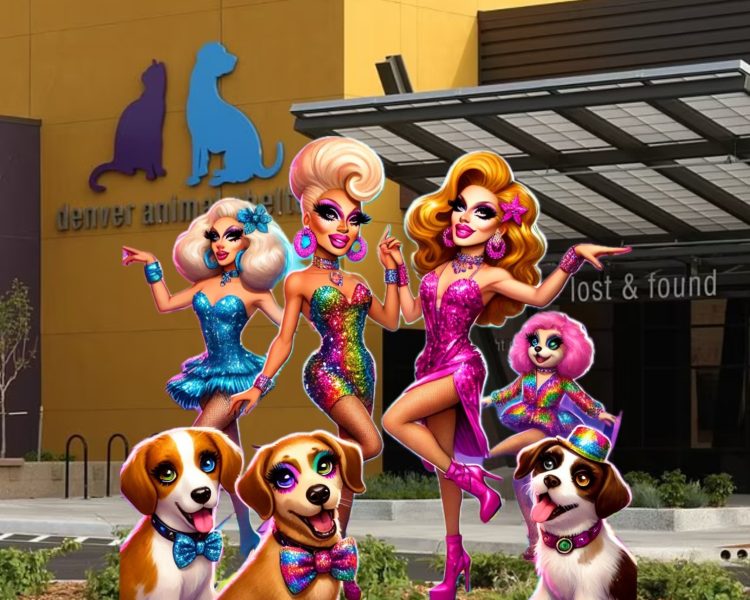 Glitter, Heels, and Wagging Tails: Denver’s Disco Drag Brunch Supports Local Shelter