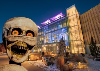 A Night at the Denver Museum: Spooky Sleepover Fun for the Whole Family!