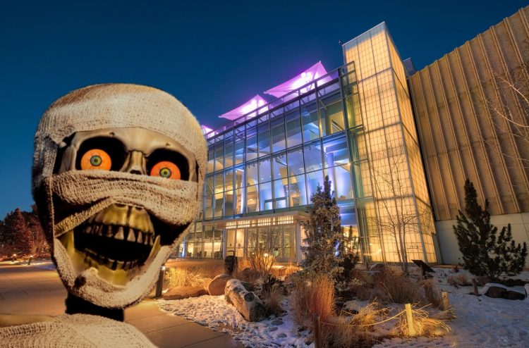 A Night at the Denver Museum: Spooky Sleepover Fun for the Whole Family!