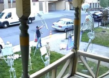 Viral Video Shows Man Destroying Political Decor at Denver Home