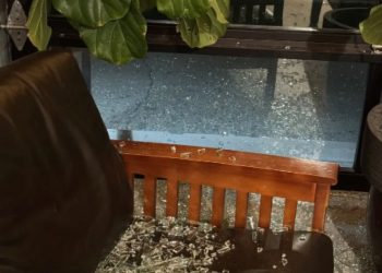 Park Hill Businesses and Homes Hit by Overnight Gunfire, Windows Shattered