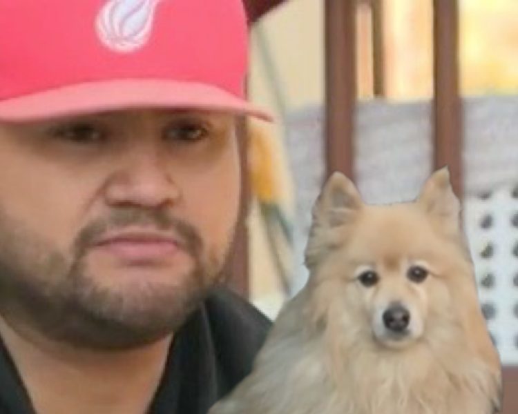 Close Call: Boulder Dog Walker Kicks Mountain Lion to Protect Pet During Nighttime Stroll