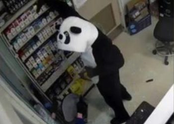 Panda Bandit’ Strikes: Boulder County Sheriff Seeks Suspects in Gas Station Burglaries