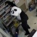 Panda Bandit’ Strikes: Boulder County Sheriff Seeks Suspects in Gas Station Burglaries