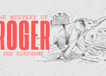 The Tragic and Mysterious Tale of Roger the Elephant