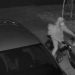 Caught on Camera: Porch Pirate Steals $250 Dashcam from Denver Home