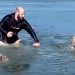 Quick-Thinking Owner Rescues Two Dogs from Freezing Colorado Waters