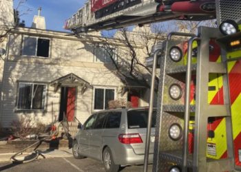 Heroic Act: Woman Saves Family Dog During Aurora House Fire