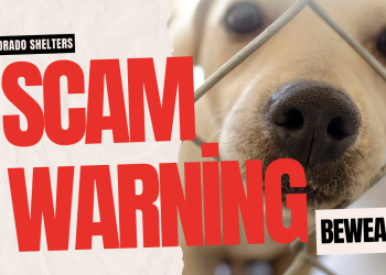 Colorado Scam Exploiting Missing Pets