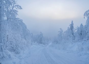 Off-Roader’s Miracle Rescue: Denver Man Survives Three Days Lost in Snowstorm