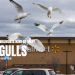 Why Are There ‘Seagulls’ in Denver Walmart Parking Lots?