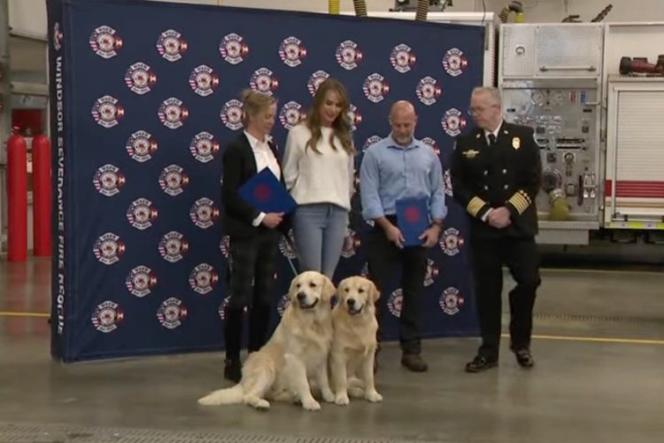 Heroes Among Us: Two Citizens Honored for Rescuing Woman and Dogs from Icy Pond