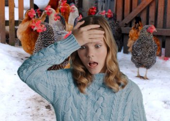 Turns Out Raising Your Own Chickens for Eggs is NOT all it’s Cracked Up To Be