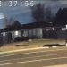 Caught on Camera: Vandal Causes $35K in Damage to Longmont Speed Monitor
